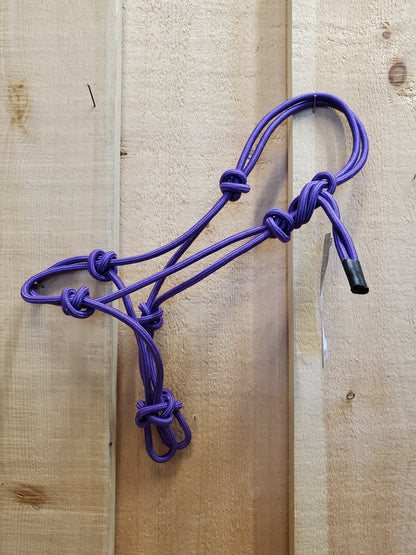 A purple poly-nylon rope halter hanging against a wooden 