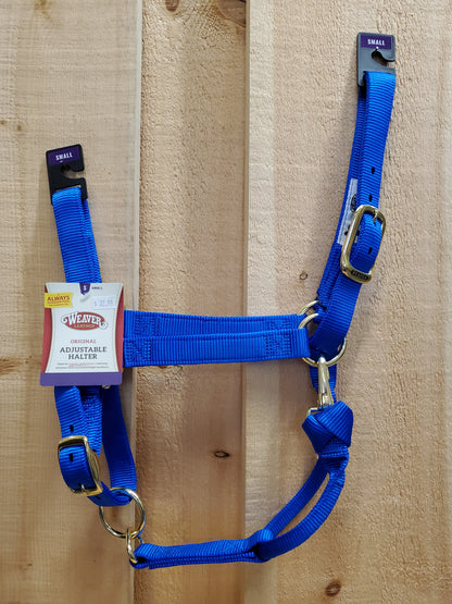 blue nylon horse halter with brass plated hardware, including a buckle and throat snap, and box-stitching at stress points.