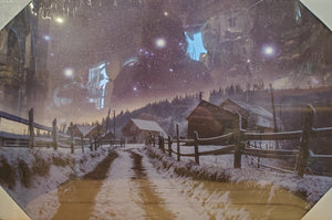 Country Night Sky Fiber Optic Canvas by Koppers®
