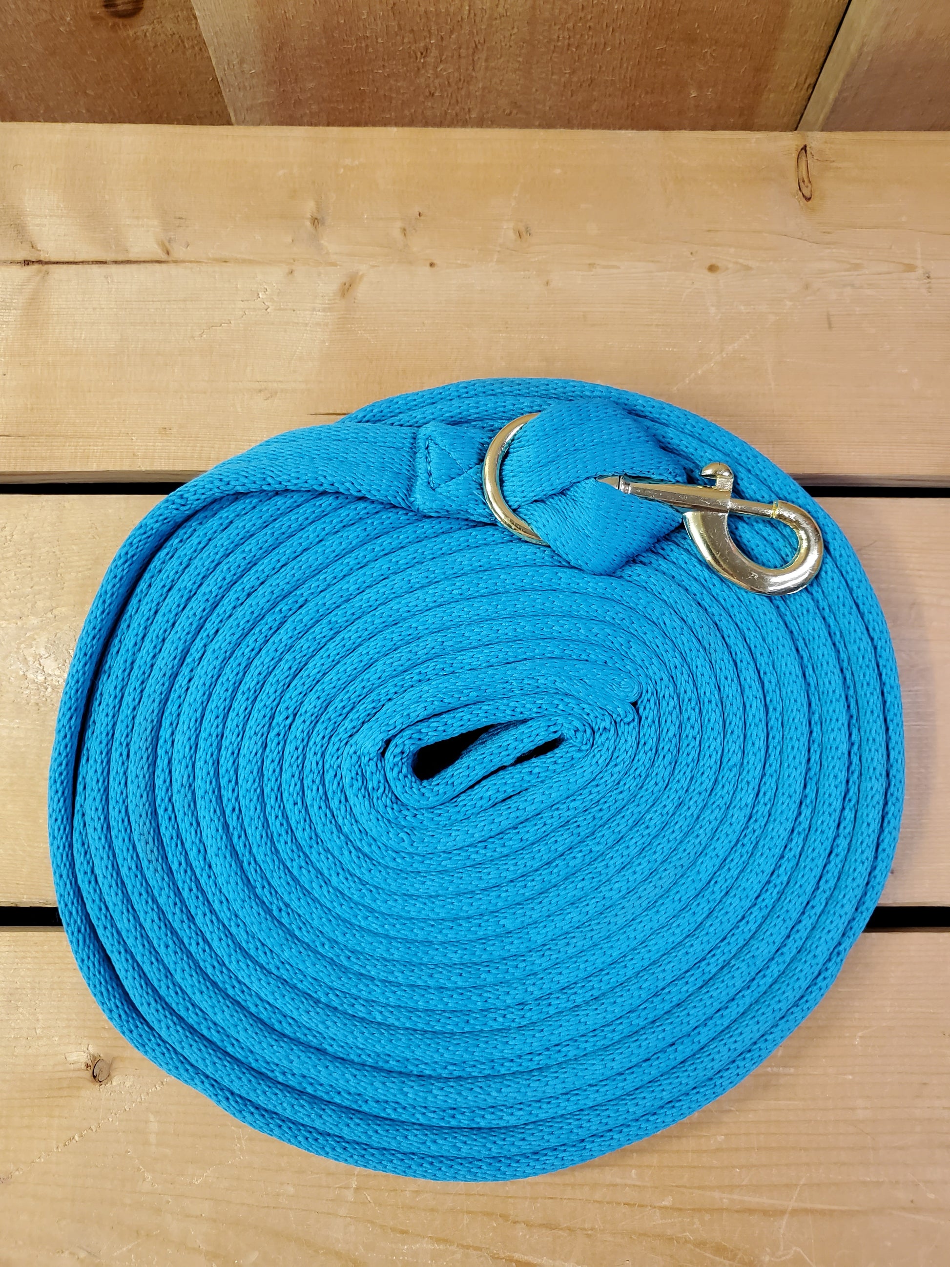 turquoise coiled up rope with a brass snap on a wooden background