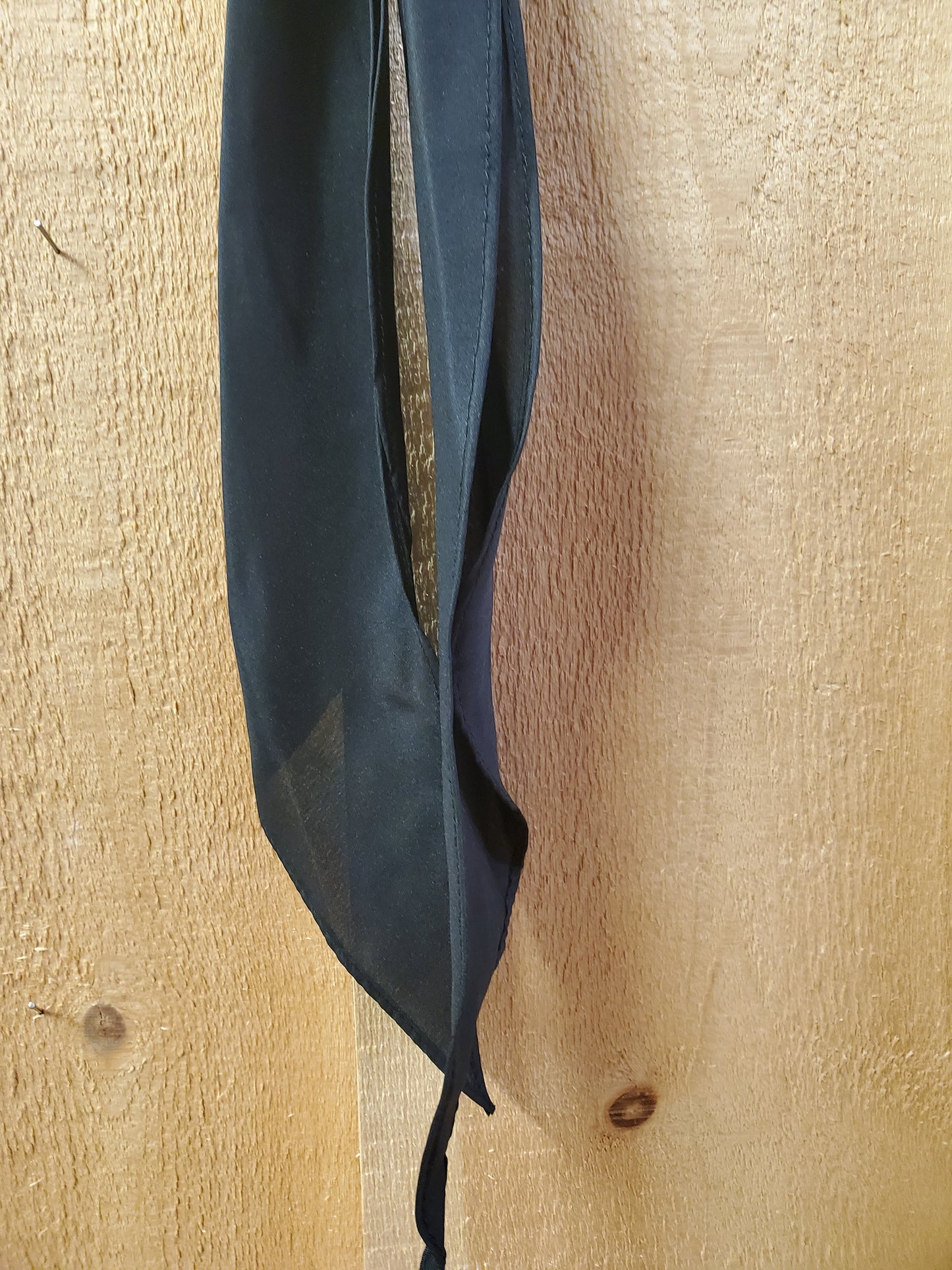 The Original Cowboy Tie