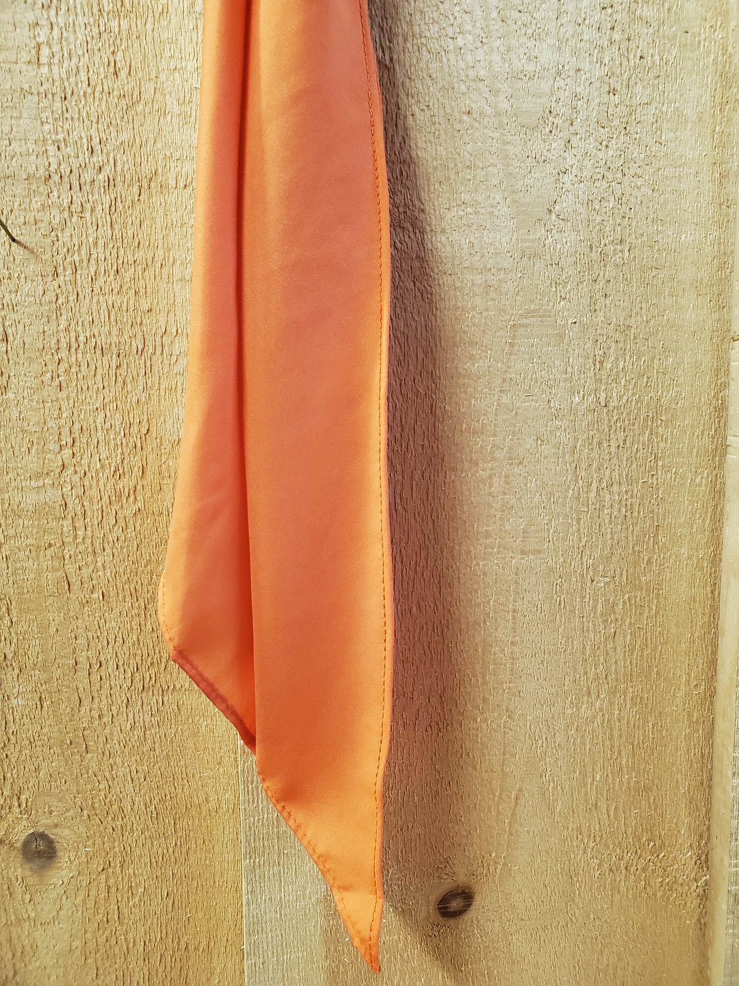 The Original Cowboy Tie