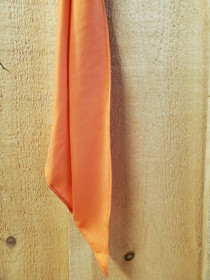 The Original Cowboy Tie