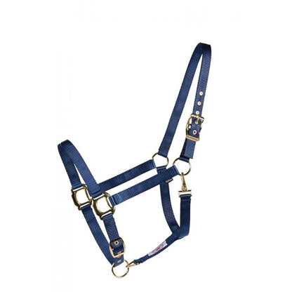 Soft Touch Economy Nylon Halter by Country Legend