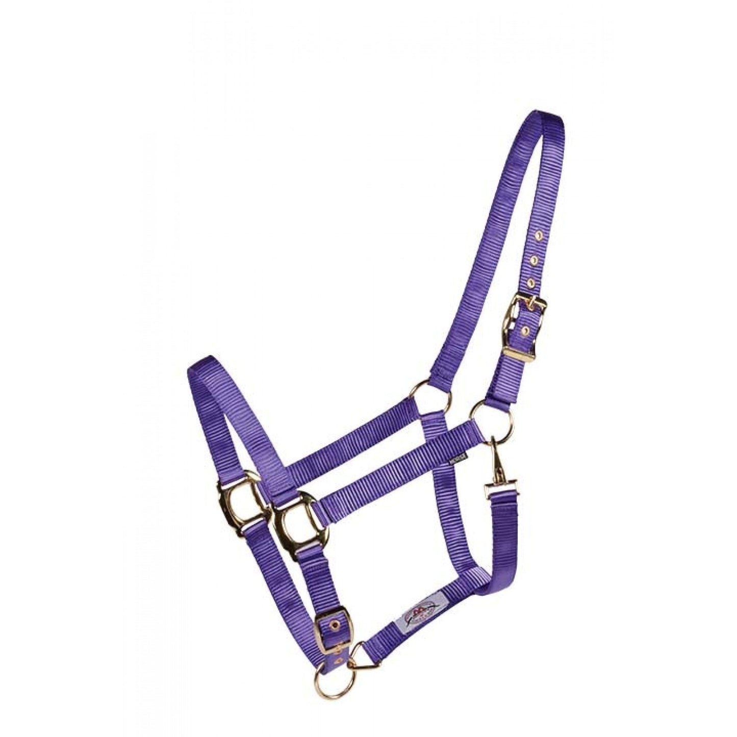 Soft Touch Economy Nylon Halter by Country Legend