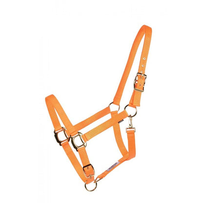 Soft Touch Economy Nylon Halter by Country Legend