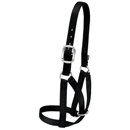 Barn Cow Halter by Weaver Livestock®