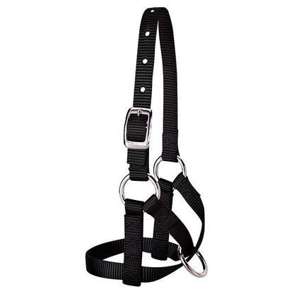 Nylon Alpaca Halter by Weaver®