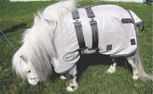 Orien 2 Foal & Mini Deluxe Fly Sheet by Canadian Horsewear Co.
