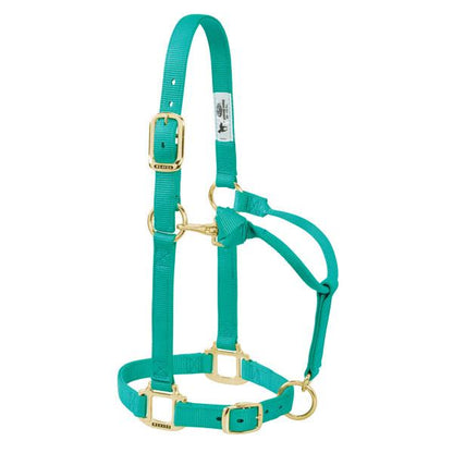 aqua green adjustable nylon pony halter with brass plated hardware and a throat snap.