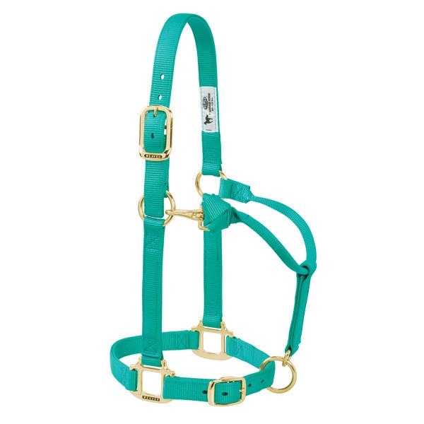 aqua green adjustable nylon yearling halter with brass plated hardware and rolled throat with clip.