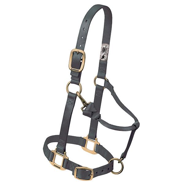 grey adjustable nylon pony halter with brass plated hardware and a throat snap.