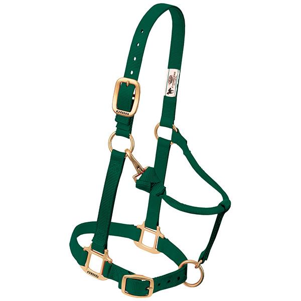 hunter green adjustable nylon suckling halter with brass plated hardware and a throat snap.