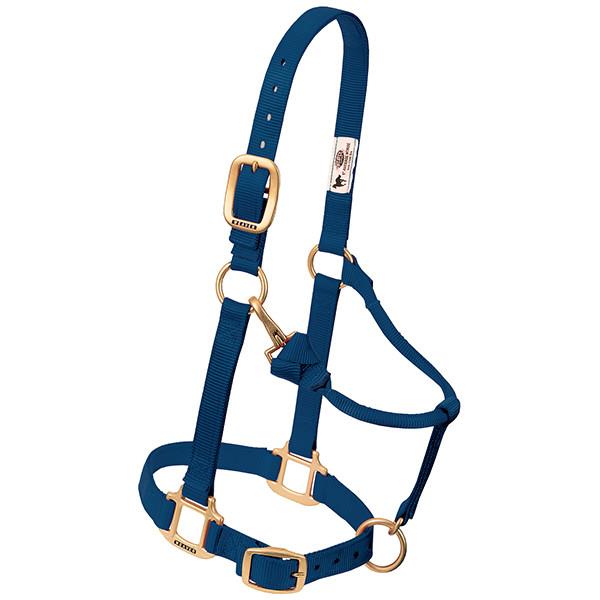 navy nylon horse halter with brass plated hardware, including a buckle and throat snap, and box-stitching at stress points.
