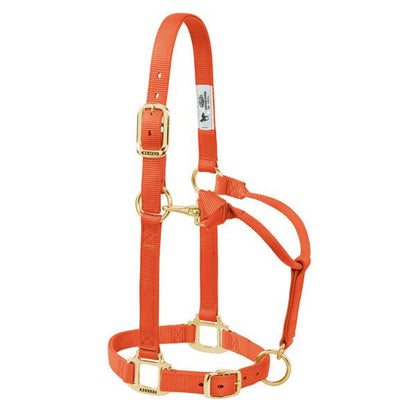 orange adjustable nylon yearling halter with brass plated hardware and rolled throat with clip.