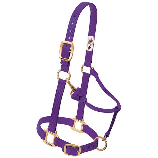 purple adjustable nylon suckling halter with brass plated hardware and a throat snap.