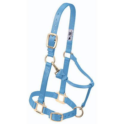 light Blue adjustable nylon pony halter with brass plated hardware and a throat snap.