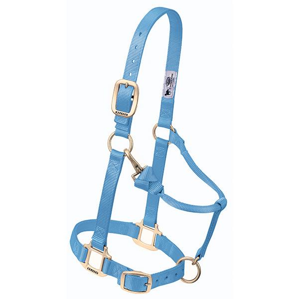 light blue adjustable nylon yearling halter with brass plated hardware and rolled throat with clip.