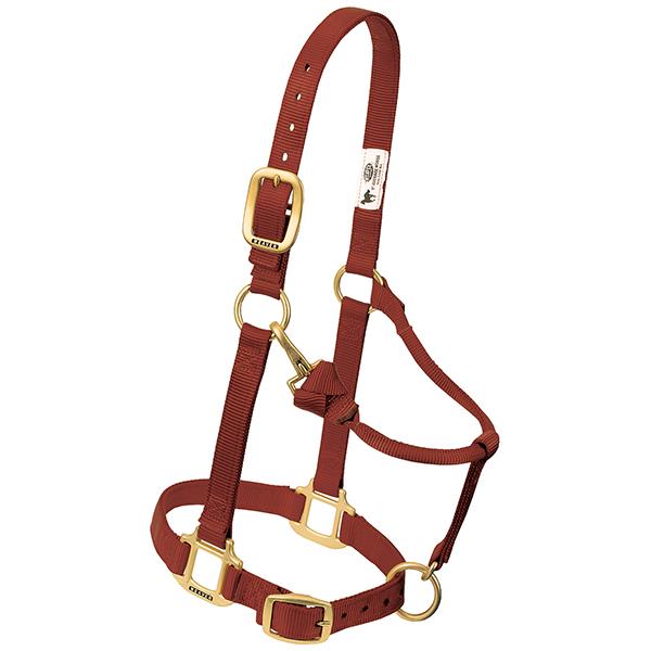 cinnamon brown nylon horse halter with brass plated hardware and adjustable chin and throat snap.