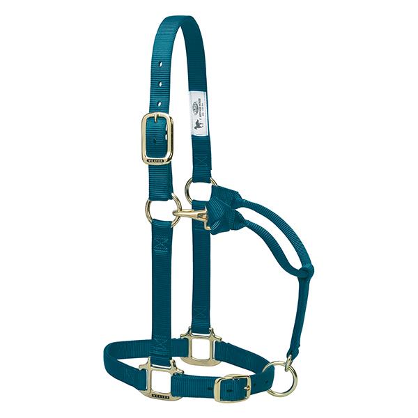 teal adjustable nylon yearling halter with brass plated hardware and rolled throat with clip.