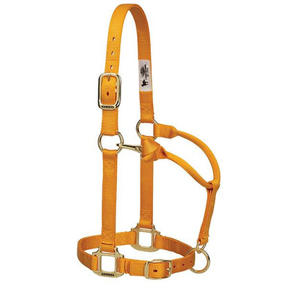 mustard adjustable nylon suckling halter with brass plated hardware and a throat snap.