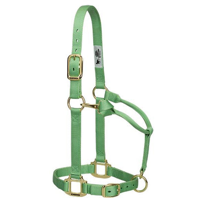 pistachio adjustable nylon suckling halter with brass plated hardware and a throat snap.