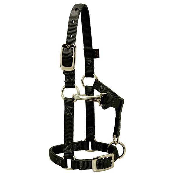 black nylon miniature horse halter with brass plated hardware and a non-rust solid brass throat snap.