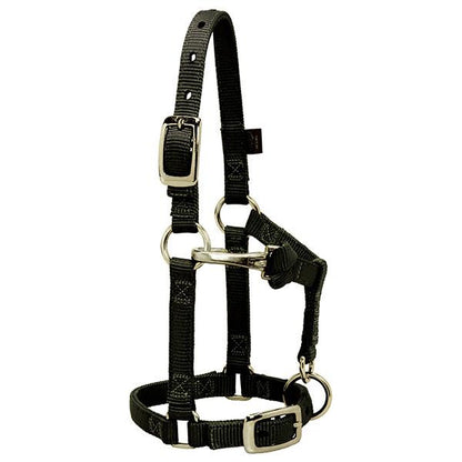 black nylon miniature horse halter with brass plated hardware and a non-rust solid brass throat snap.