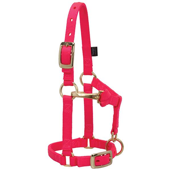 pink nylon miniature horse halter with brass plated hardware and a non-rust solid brass throat snap.