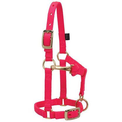 pink nylon miniature horse halter with brass plated hardware and a non-rust solid brass throat snap.