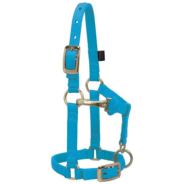 hurricane blue nylon miniature horse halter with brass plated hardware and a non-rust solid brass throat snap.