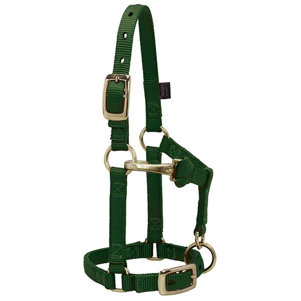 hunter green nylon miniature horse halter with brass plated hardware and a non-rust solid brass throat snap.
