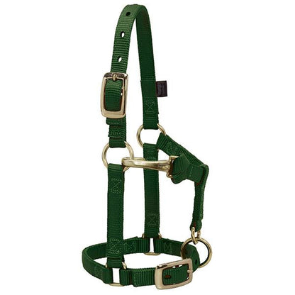 hunter green nylon miniature horse halter with brass plated hardware and a non-rust solid brass throat snap.