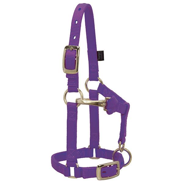purple nylon miniature horse halter with brass plated hardware and a non-rust solid brass throat snap.
