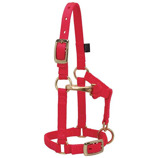 Red nylon miniature horse halter with brass plated hardware and a non-rust solid brass throat snap.