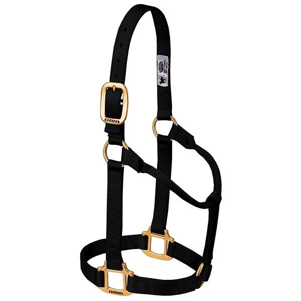 black non-adjustable nylon horse halter with brass plated hardware.
