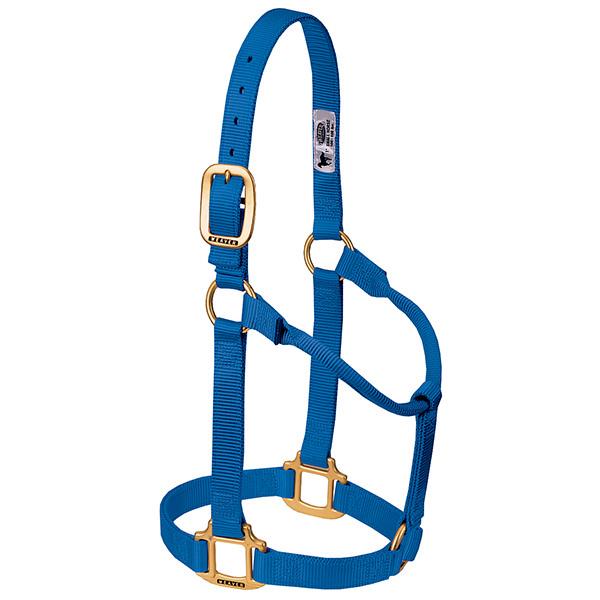 blue non-adjustable nylon horse halter with brass plated hardware.