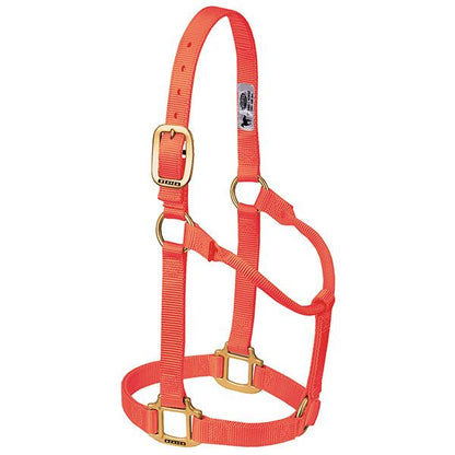 blaze orange non-adjustable nylon horse halter with brass plated hardware.