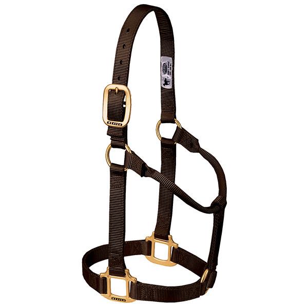 brown non-adjustable nylon horse halter with brass plated hardware.