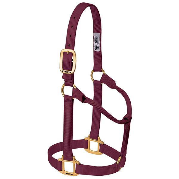 burgundy non-adjustable nylon horse halter with brass plated hardware.