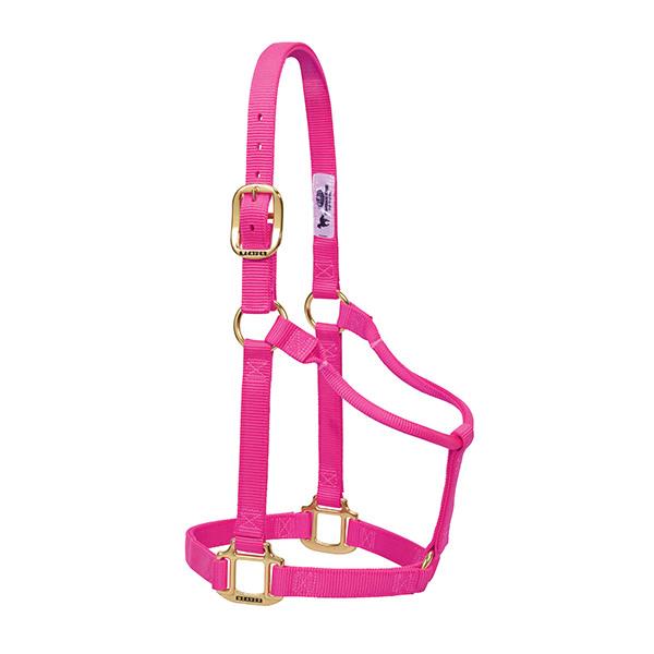 pink non-adjustable nylon horse halter with brass plated hardware.