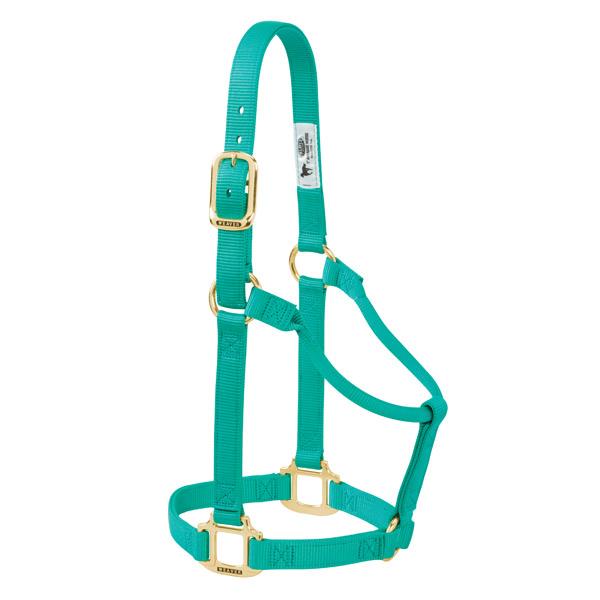 aqua green non-adjustable nylon horse halter with brass plated hardware.