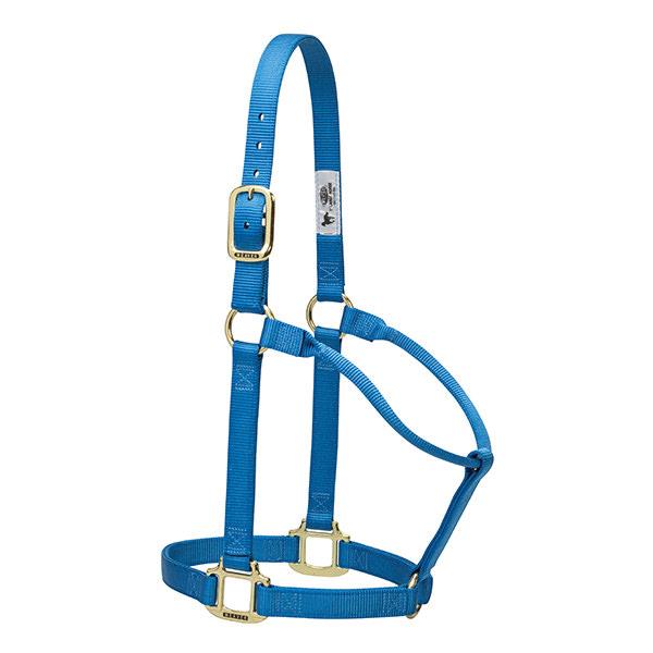 blue non-adjustable nylon horse halter with brass plated hardware.