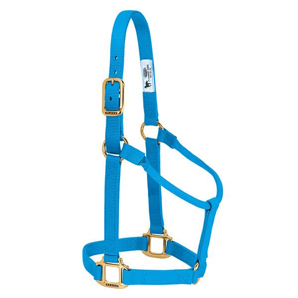 hurricane blue non-adjustable nylon horse halter with brass plated hardware.