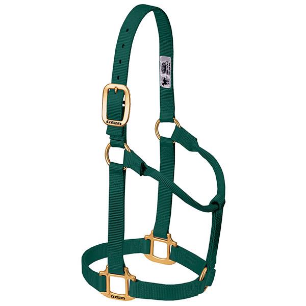 hunter green non-adjustable nylon horse halter with brass plated hardware.