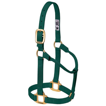 hunter green non-adjustable nylon horse halter with brass plated hardware.