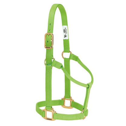 lime green non-adjustable nylon horse halter with brass plated hardware.