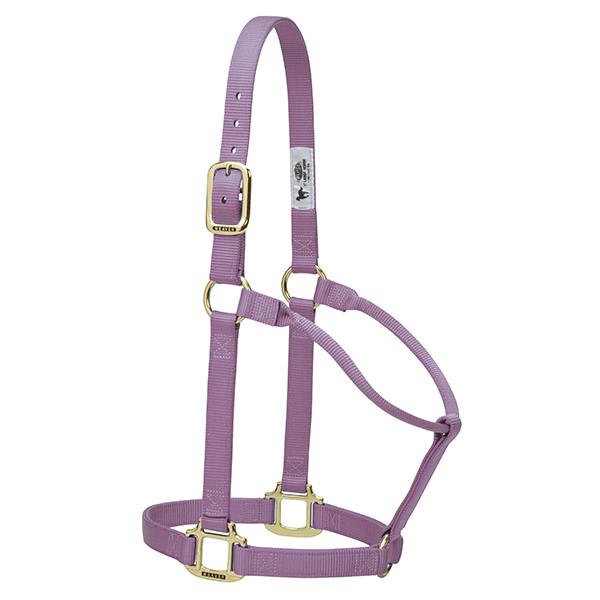 lavender non-adjustable nylon horse halter with brass plated hardware.