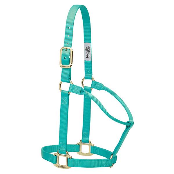 mint green non-adjustable nylon horse halter with brass plated hardware.