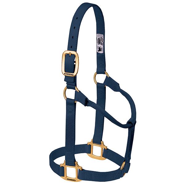 navy non-adjustable nylon horse halter with brass plated hardware.